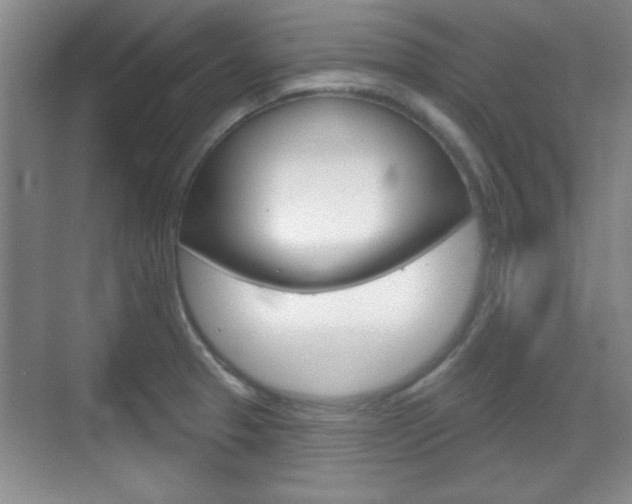 X0000070361329200606090750