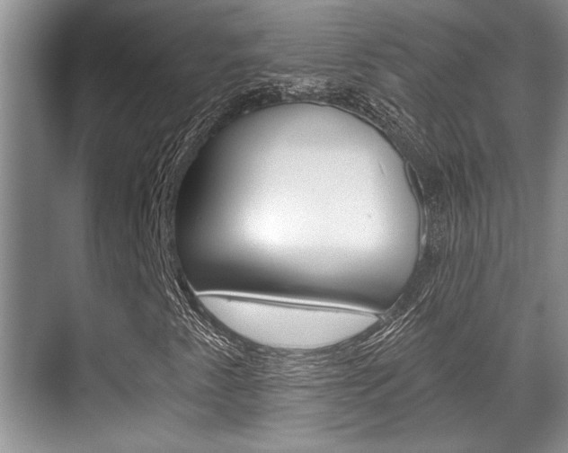 X0000070361345200606090749