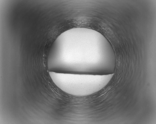 X0000070361346200606090749