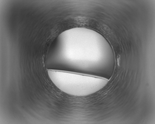 X0000070361347200606090749