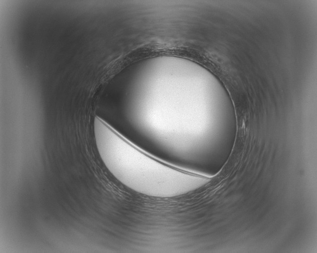 X0000070361348200606090749