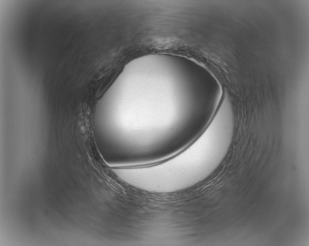 X0000070361349200606090749