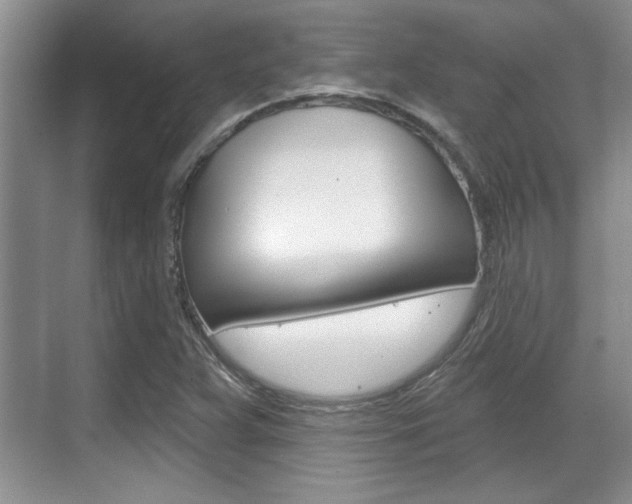 X0000070361359200606090749