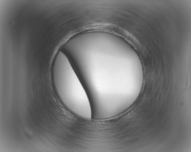 X0000070361362200606090749