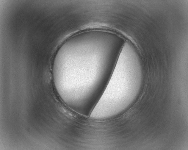 X0000070361363200606090749