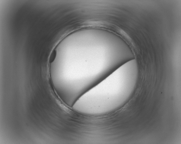 X0000070361370200606090749