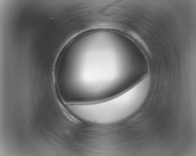 X0000070361372200606090749