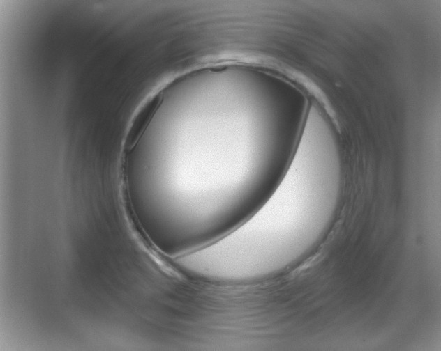 X0000070361373200606090749