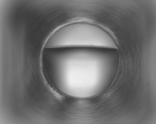 X0000070361375200606090749
