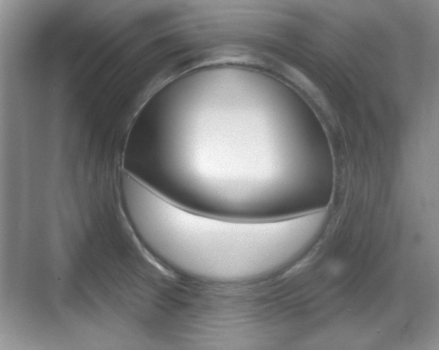 X0000070361377200606090749
