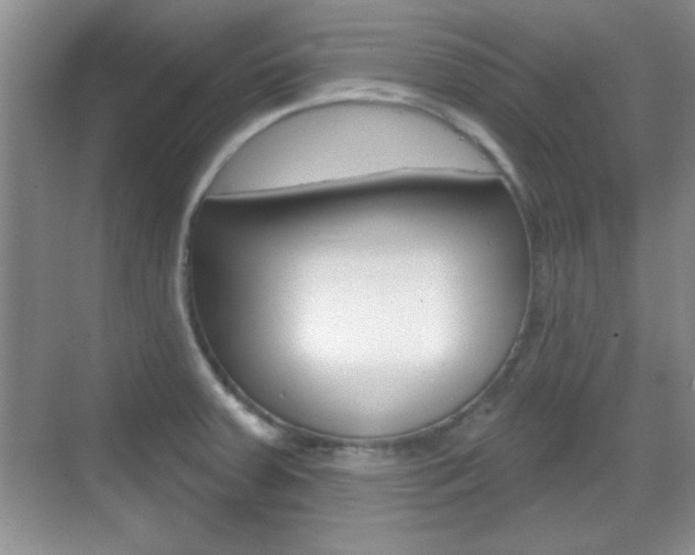 X0000070361379200606090749