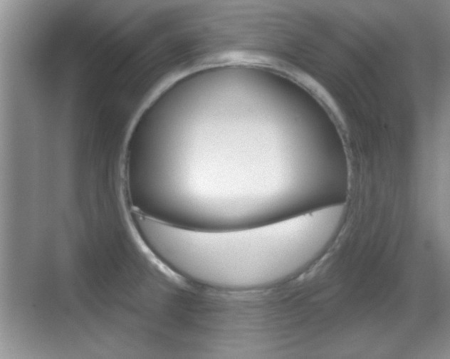 X0000070361381200606090749