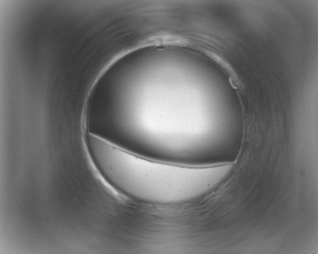 X0000070361383200606090749