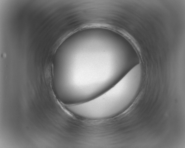 X0000070361385200606090749