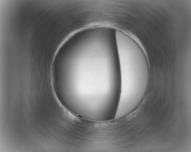 X0000070361389200606090748