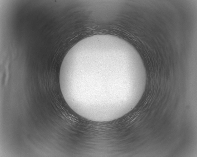 X0000070361394200606090748