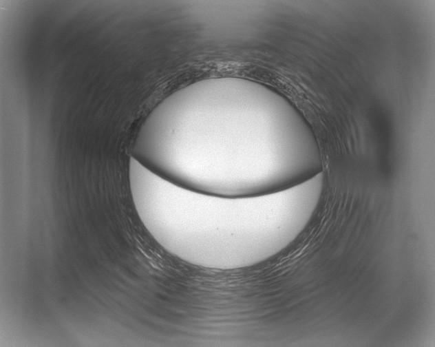 X0000070361395200606090748
