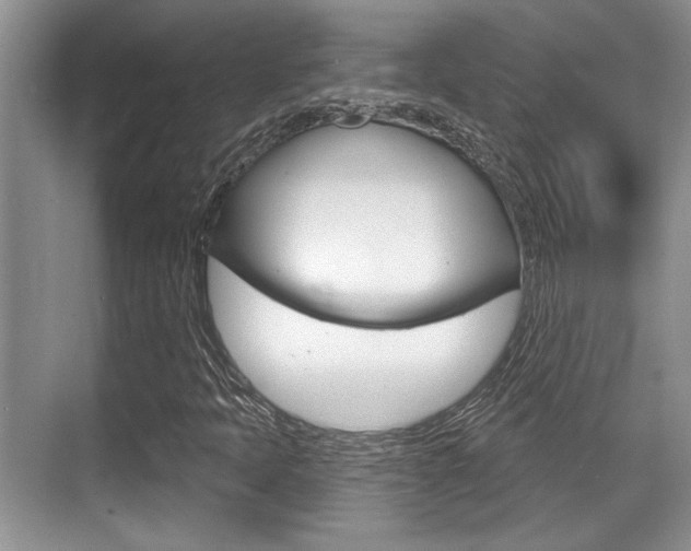 X0000070361397200606090748
