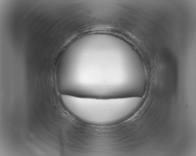 X0000070361401200606090748