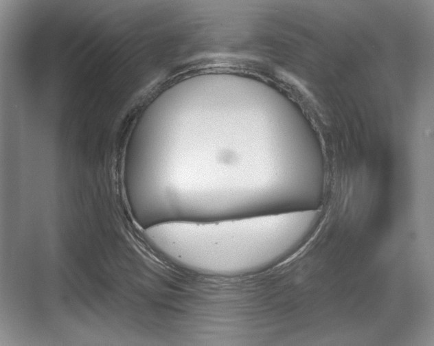 X0000070361403200606090748
