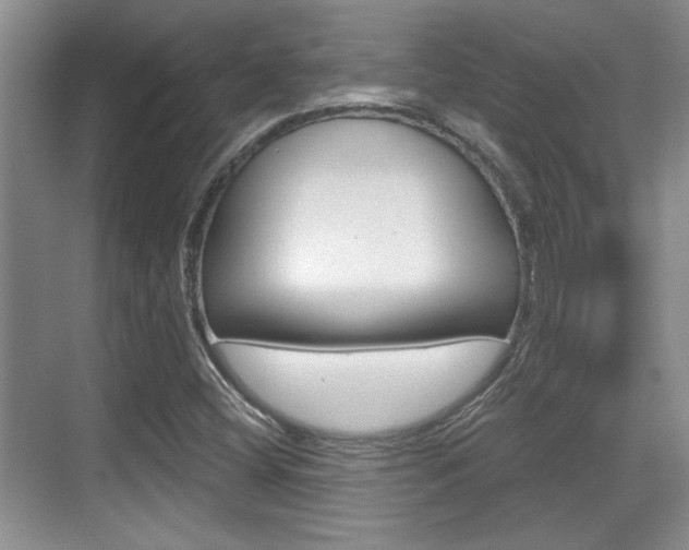 X0000070361404200606090748