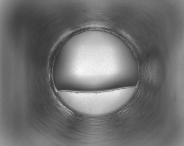 X0000070361408200606090748