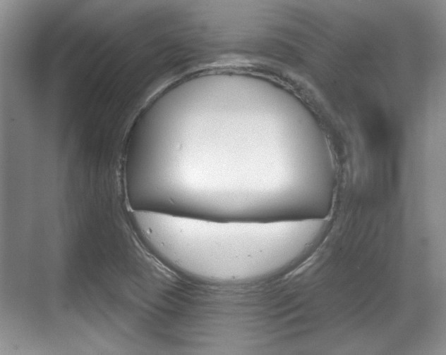X0000070361409200606090748