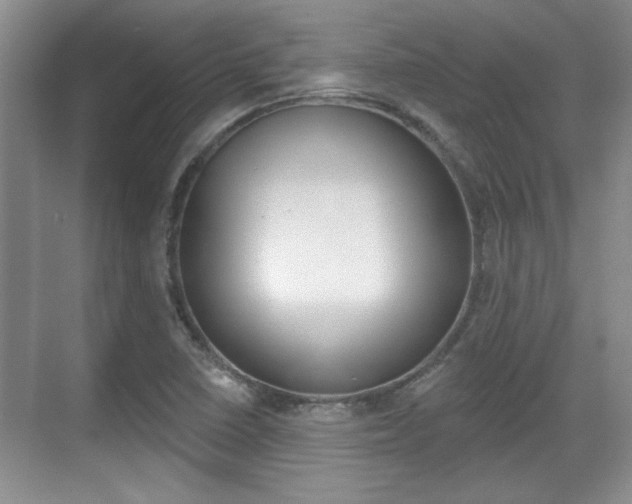 X0000070361410200606090748