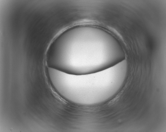 X0000070361413200606090748