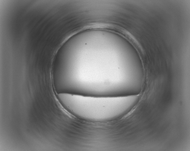 X0000070361417200606090748