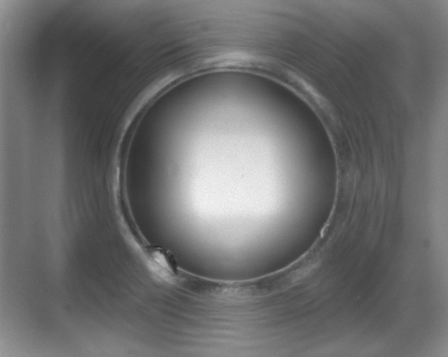 X0000070361418200606090748