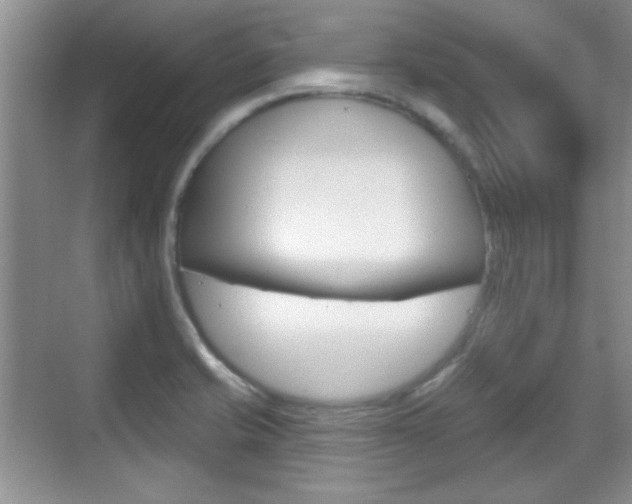 X0000070361421200606090748