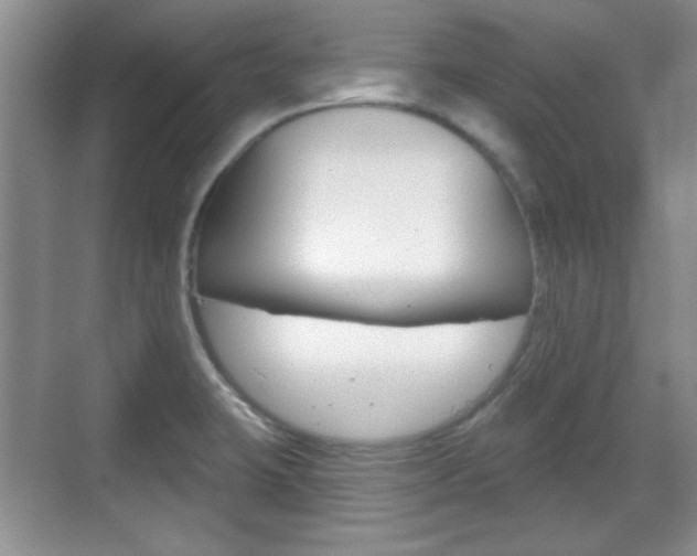 X0000070361423200606090748