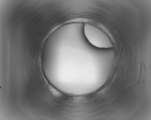X0000070361425200606090748