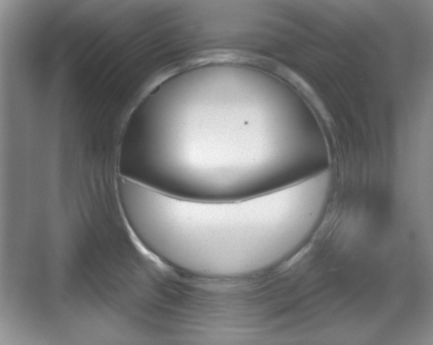 X0000070361433200606090748