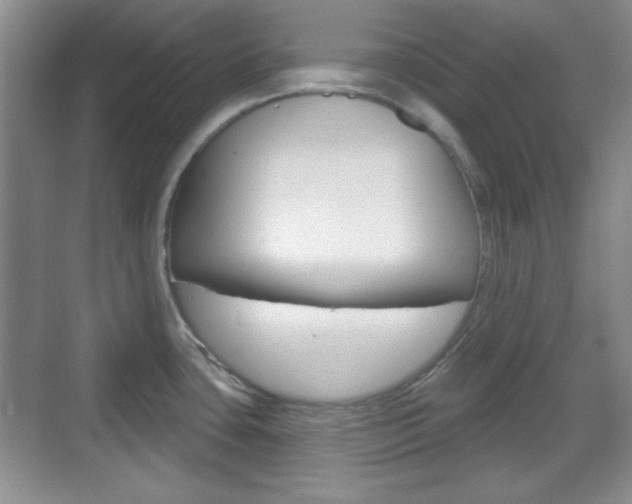 X0000070361435200606090748