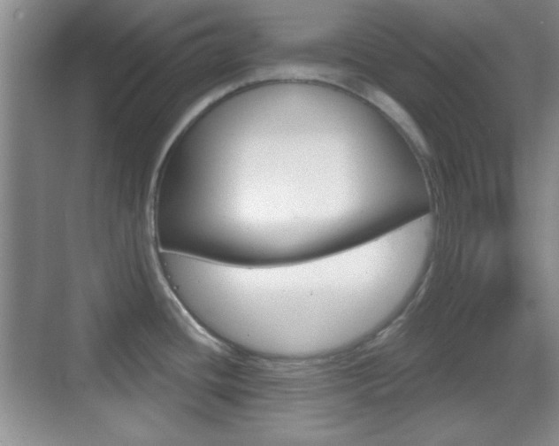 X0000070361436200606090748