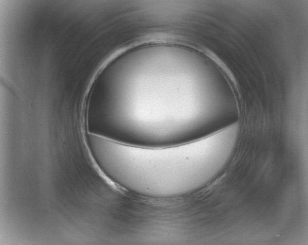 X0000070361437200606090748