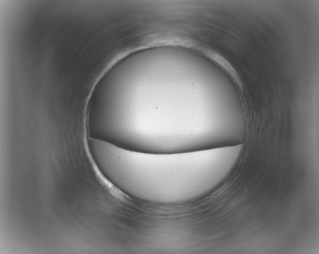 X0000070361439200606090748