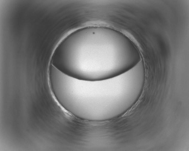 X0000070361440200606090748