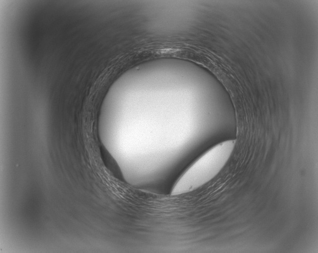 X0000070361441200606090748