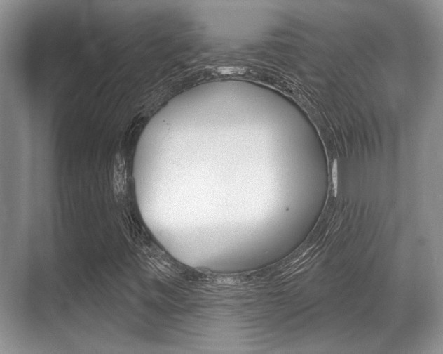 X0000070361443200606090748