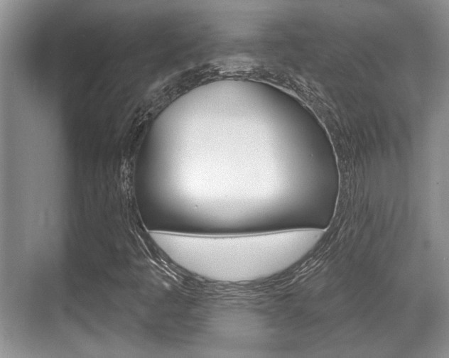 X0000070361445200606090748