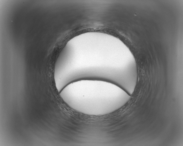 X0000070361447200606090747
