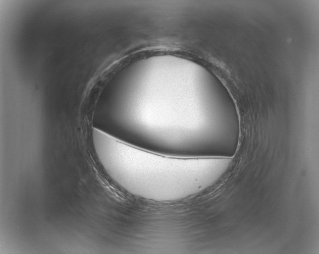 X0000070361448200606090747