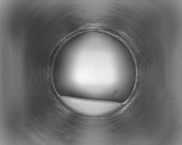 X0000070361449200606090747