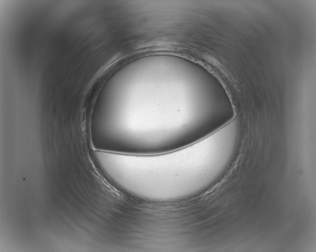 X0000070361450200606090747