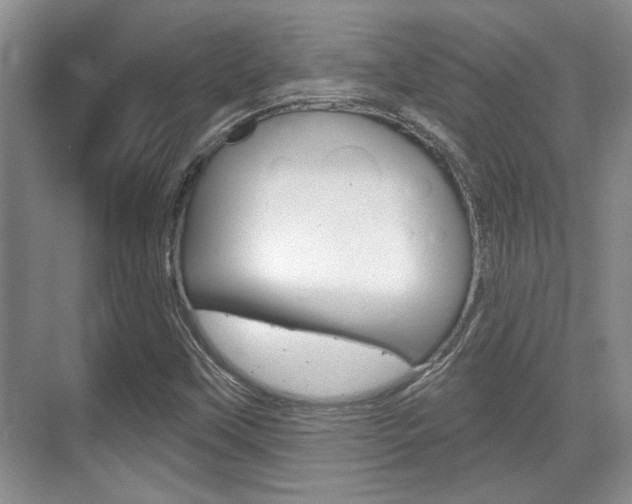 X0000070361451200606090747