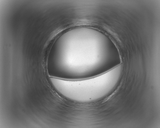 X0000070361453200606090747