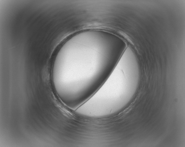 X0000070361458200606090747